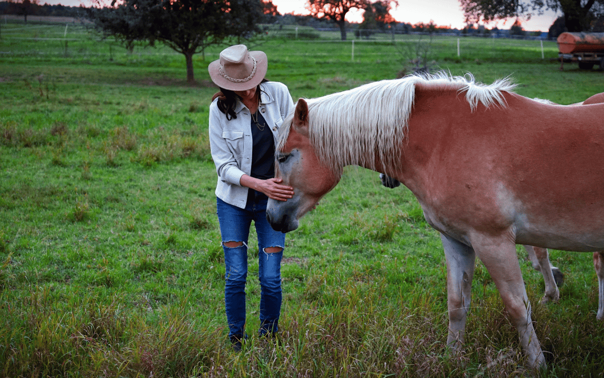 Caring for Your Horses and Horse Property in New Mexico